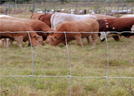 Galvanized High Tensile Livestock Wire Cattle Fencing 50m 100m Length