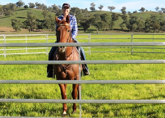 Steel 10ft Tall Horse Round Yard Panels With Powder Coated