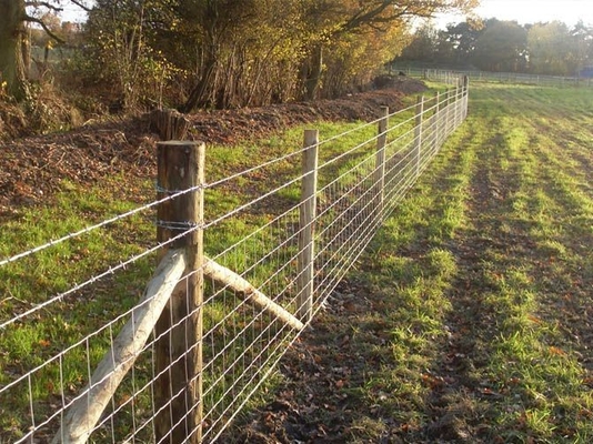 ISO-2001 1.2m Height Wire Cattle Fencing With High Tensile