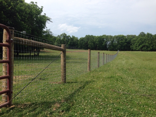 1.5m Height Wire Cattle Fencing Galvanized Heavy Duty