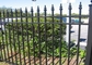 Garden Permanent Coating Wrought Iron Dog Fence 2.4x2m
