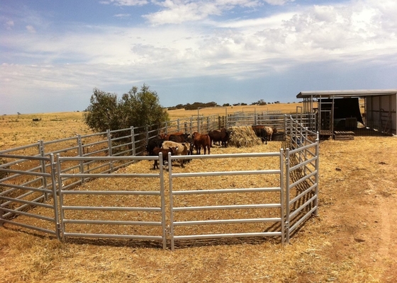 40x80mm Oval Tube Livestock Fence Panels Galvanized Corral Farm Equipment