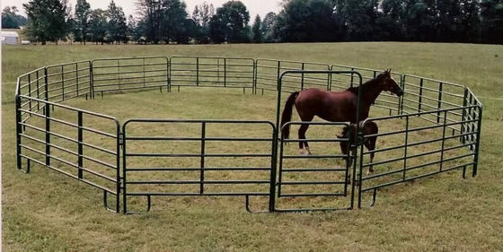 熱売り 馬 丸い庭 馬 飼料 パネル 牧場用 ペンのパネル